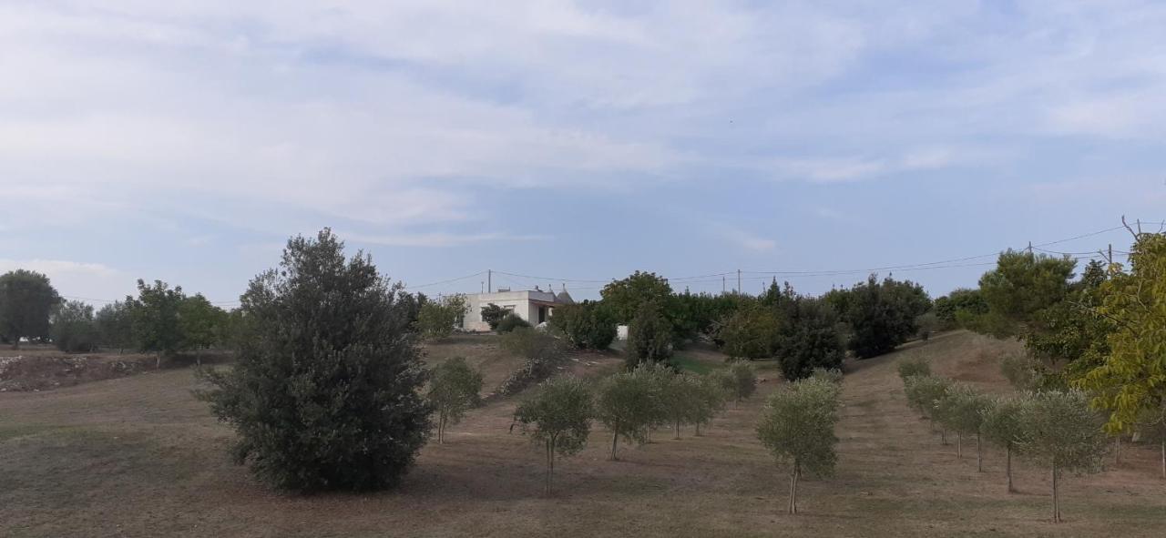 Trullo Genista Villa Martina Franca Eksteriør billede